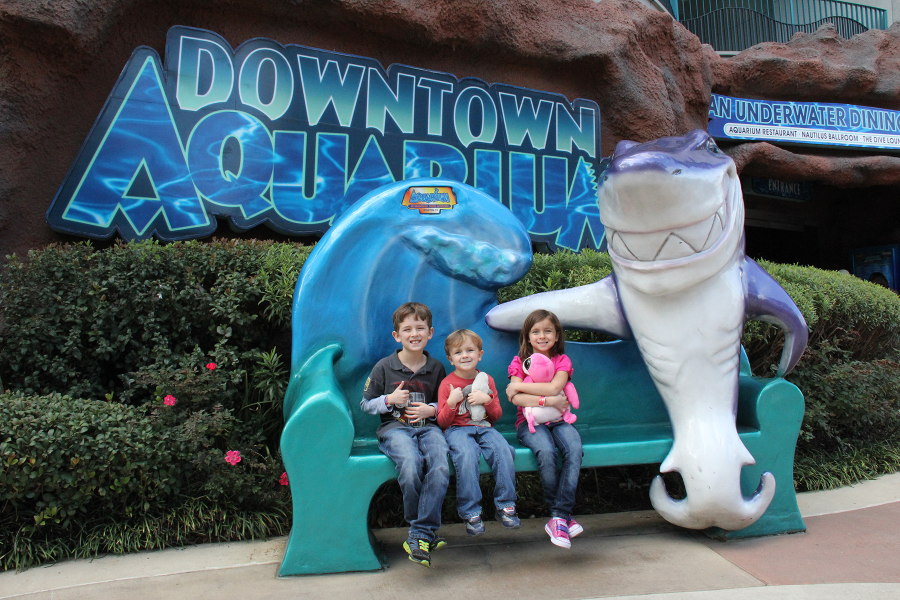 Tips For Visiting The Houston Downtown Aquarium - Carltonaut's Travel Tips