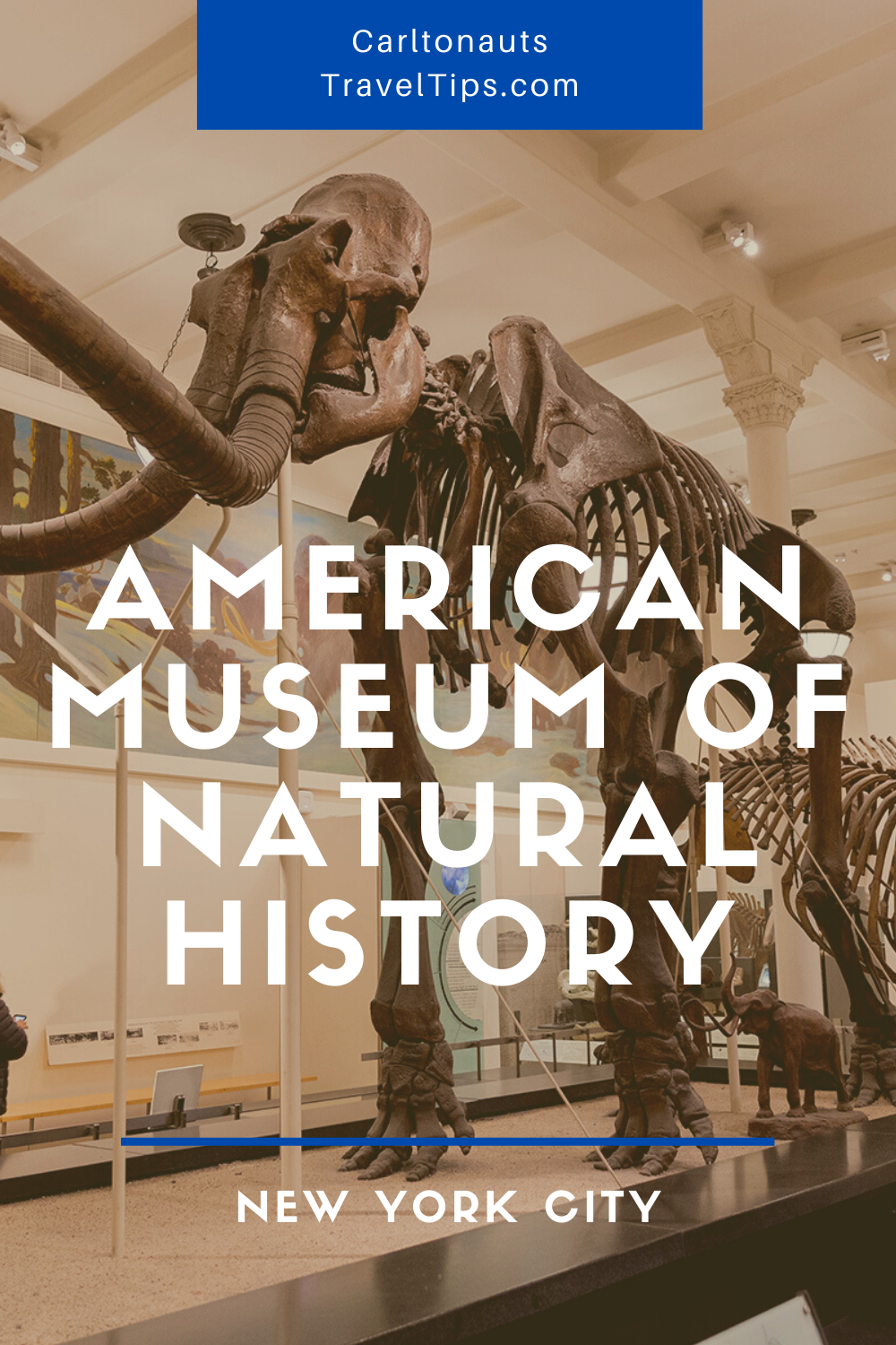 American Museum Of Natural History: The 5 Halls - Carltonaut's Travel Tips