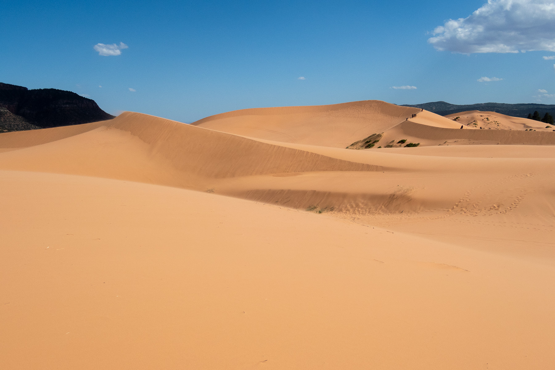 Visit Coral Pink Sand Dunes State Park In Utah - Carltonaut's Travel Tips