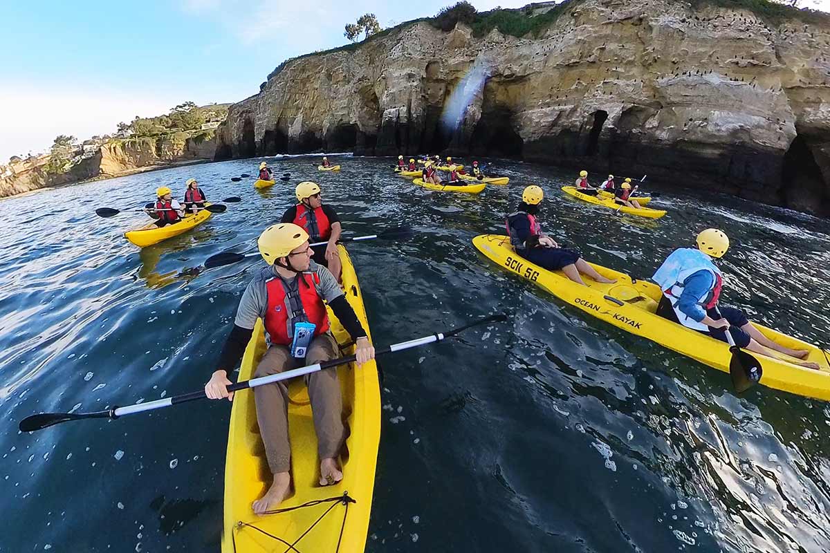La Jolla Sea Caves Kayak Tour Cliffs Birds Carltonauts Travel Tips 